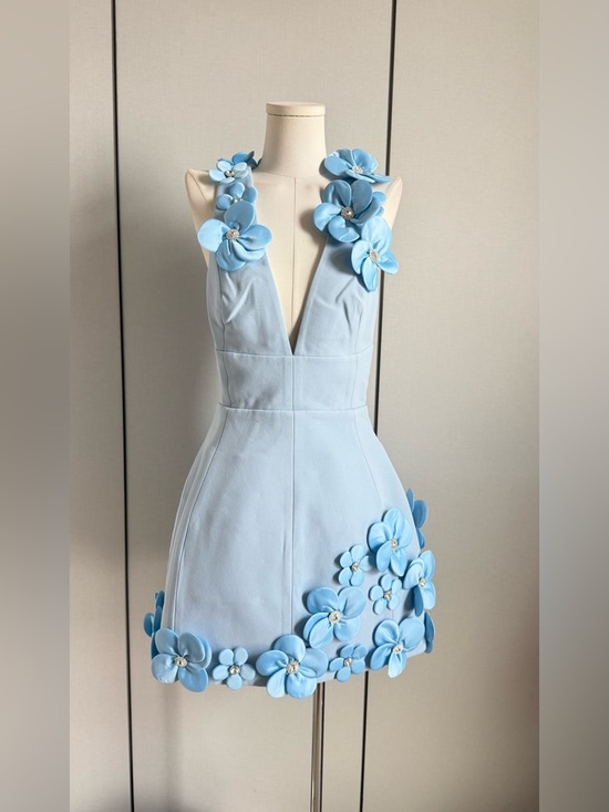 Bronx and Banco Dresses & Skirts - Bronx and Banco Powder Blue Floral Plunge Mini Dress